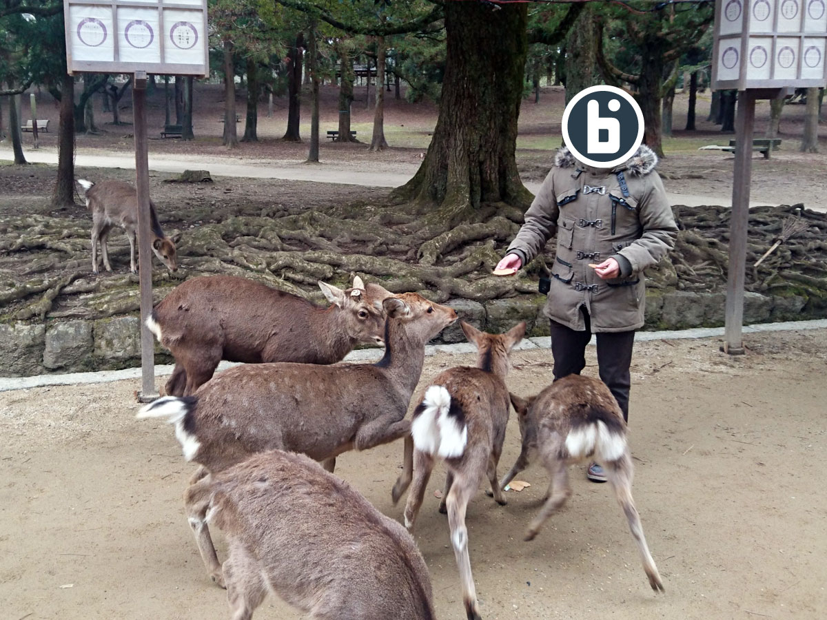 イビラスの大仏: 西洋最大の仏陀記念碑