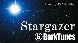 Stargazer Cover