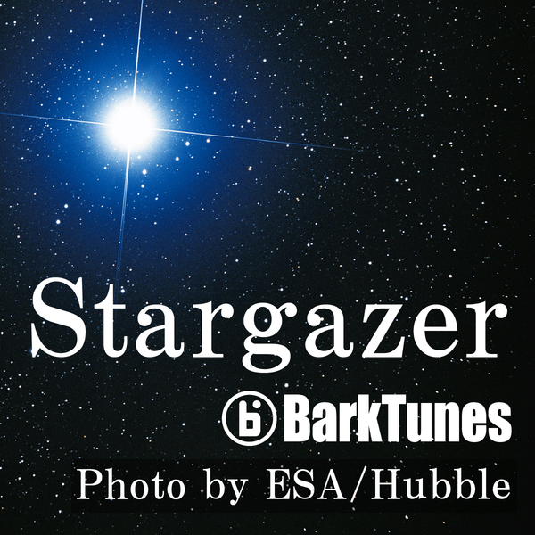 Stargazer