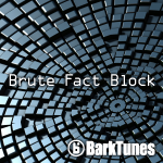 Brute Fact Block